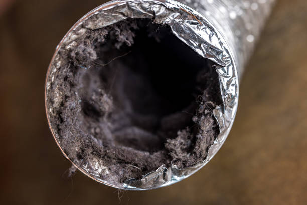 Best Commercial Air Duct Cleaning  in Clinton, MO